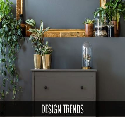 Design Trends You’ll See This Year