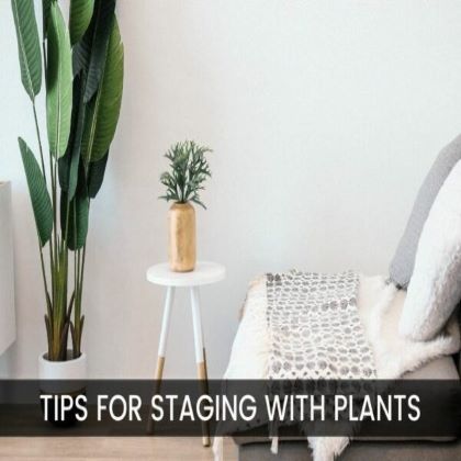 Tips for Staging with Plants