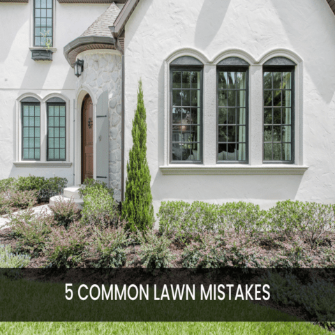 5 Common Lawn Mistakes