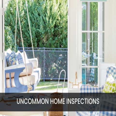 Uncommon Home Inspections to Consider When Buying a Home